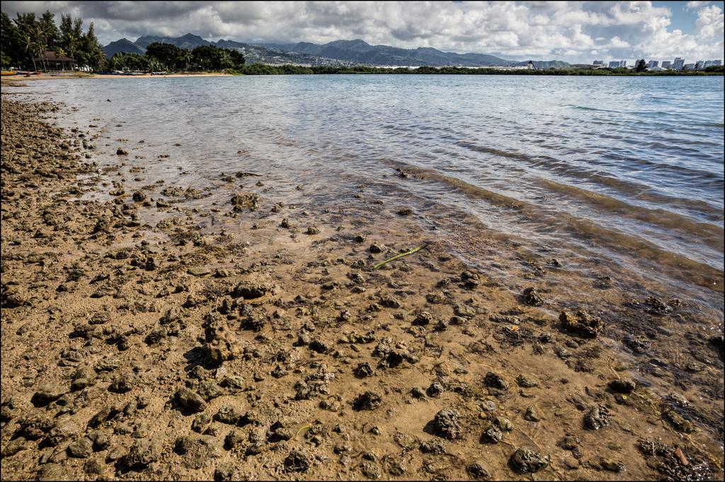 Health Officials Open Keehi Lagoon Despite Unsafe Bacteria Levels