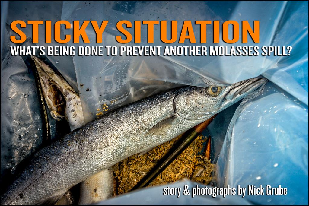 What's Being Done to Prevent Another Molasses Spill in Hawaii