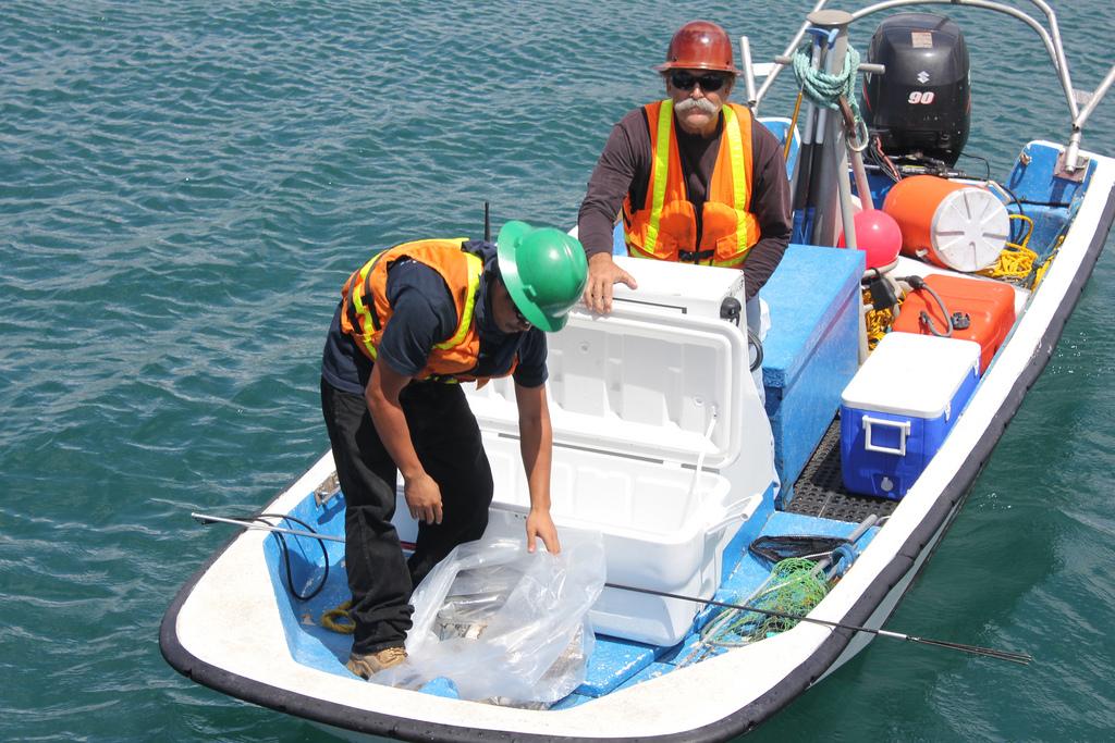 New Molasses Spill Response Plan Concedes Environmental Danger