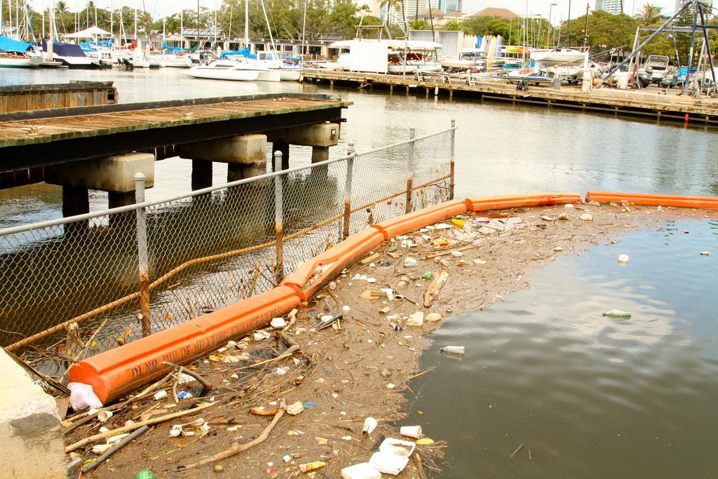 Ala Wai Canal Oversight Is As Murky As The Water Honolulu Civil Beat