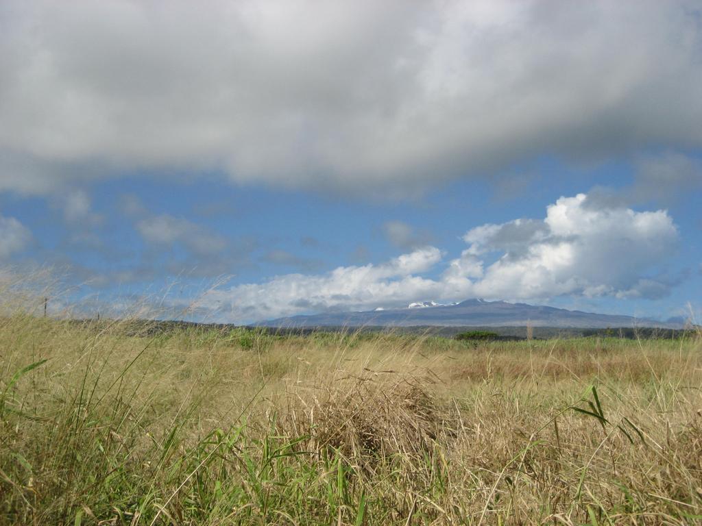 Hawaii Observatory Measures Record Atmospheric CO2 Levels Honolulu