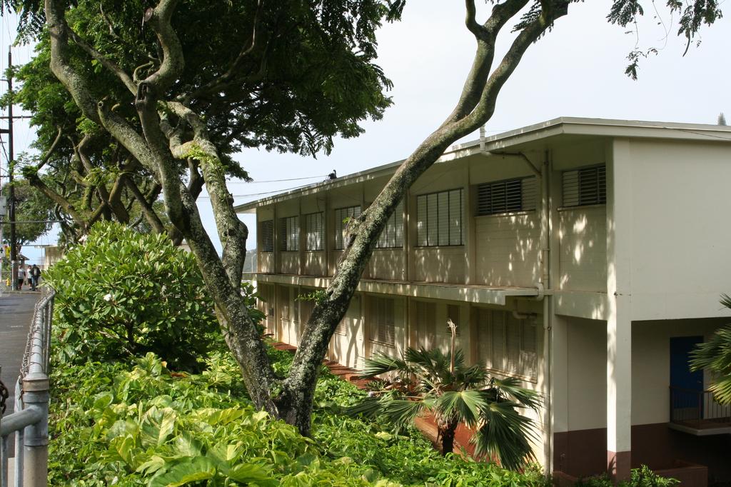 Palolo Valley 'Overshadowed By Its Past,' But Making Progress