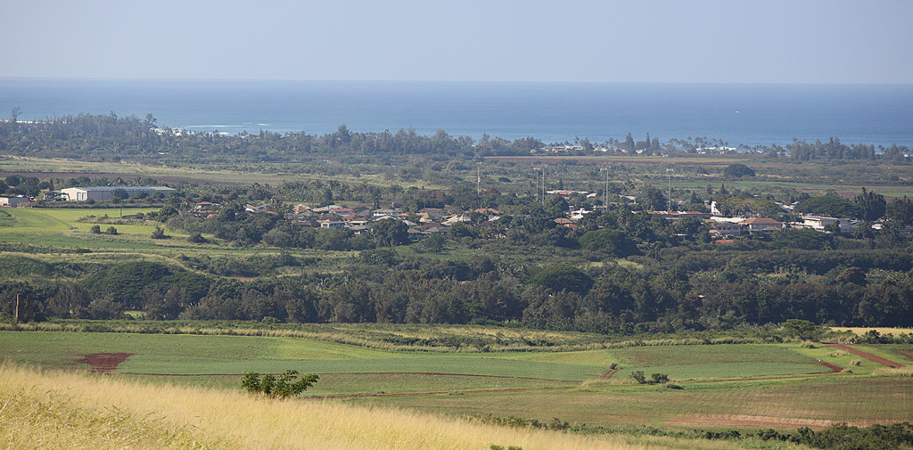 Overview of Waialua High School and Pioneer Hi-Bred International Inc. buildings at left for Anita's story.  13 jan 2015. photograph Cory lum/Civil Beat
