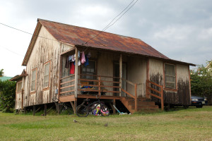 Indigenous People: Endangered Species in Face of Western Development