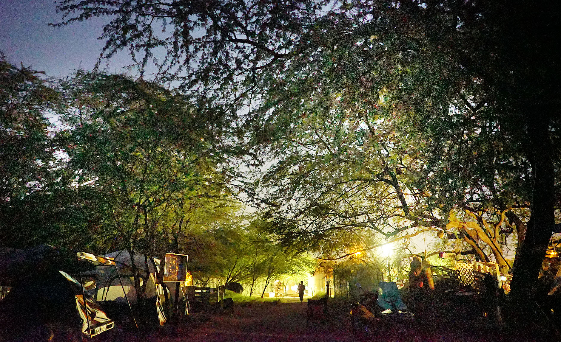 Waianae Boat harbor camp night1 Honolulu Civil Beat
