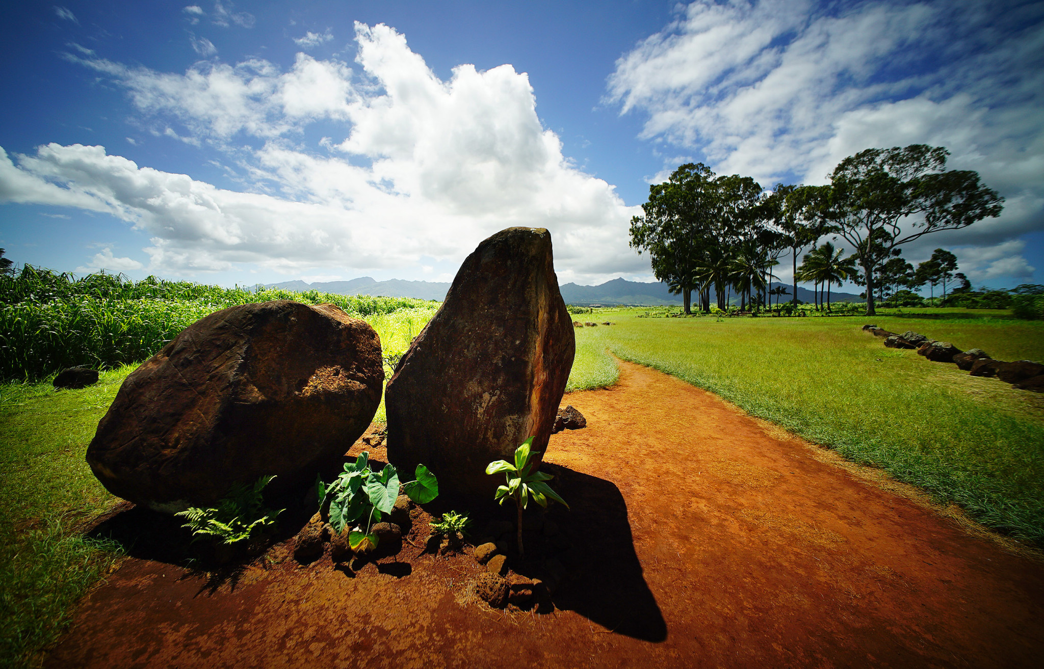 Peter Apo Preserving Kukaniloko, Most Sacred Of Hawaiian Places