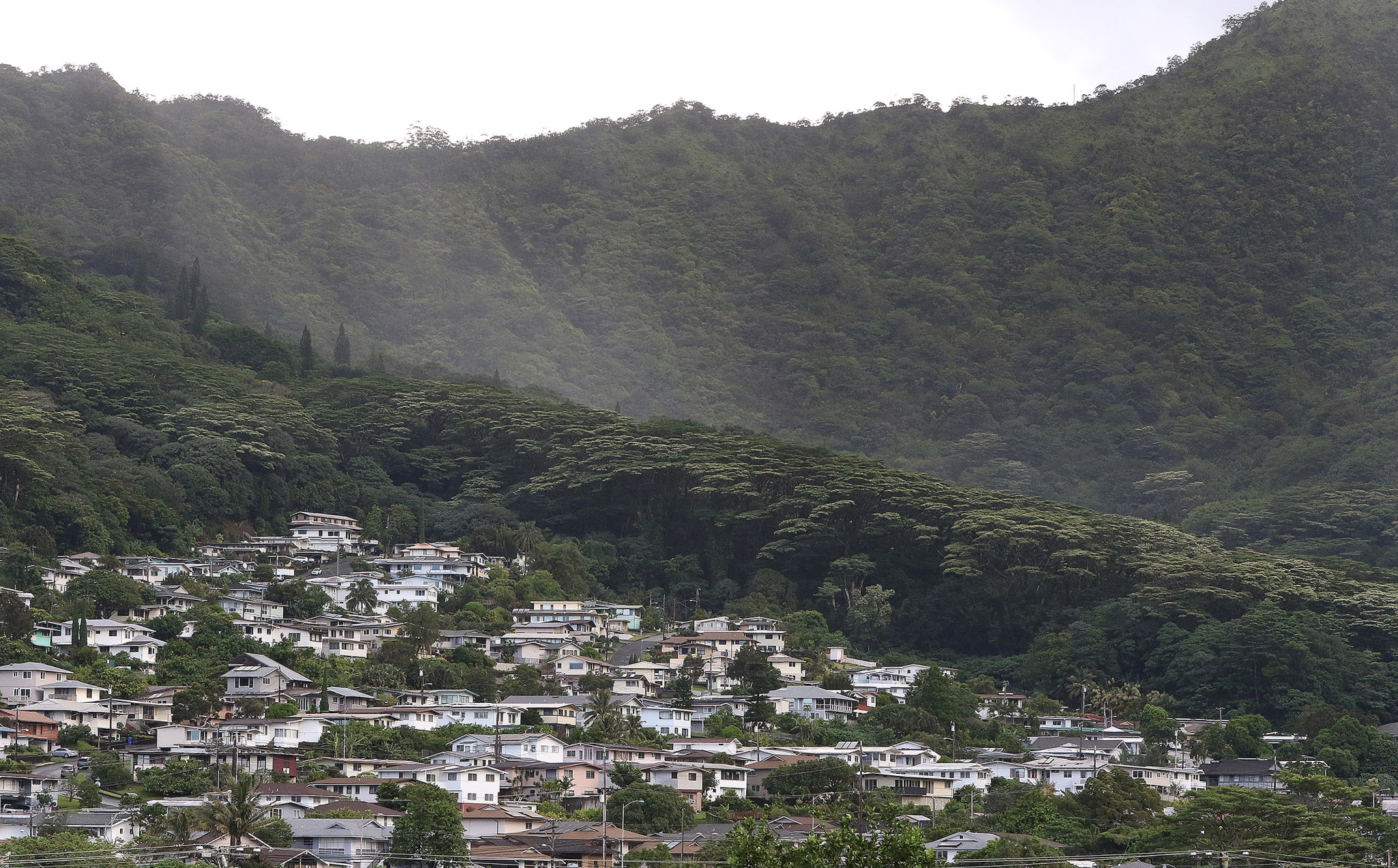 Manoa homes against Koolau mountains Honolulu Civil Beat