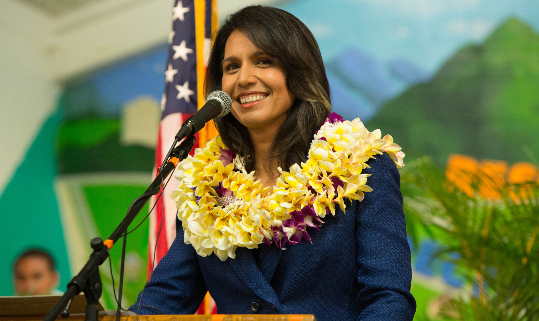 Tulsi Gabbard's Record On Gun Control Is A Moving Target - Honolulu ...