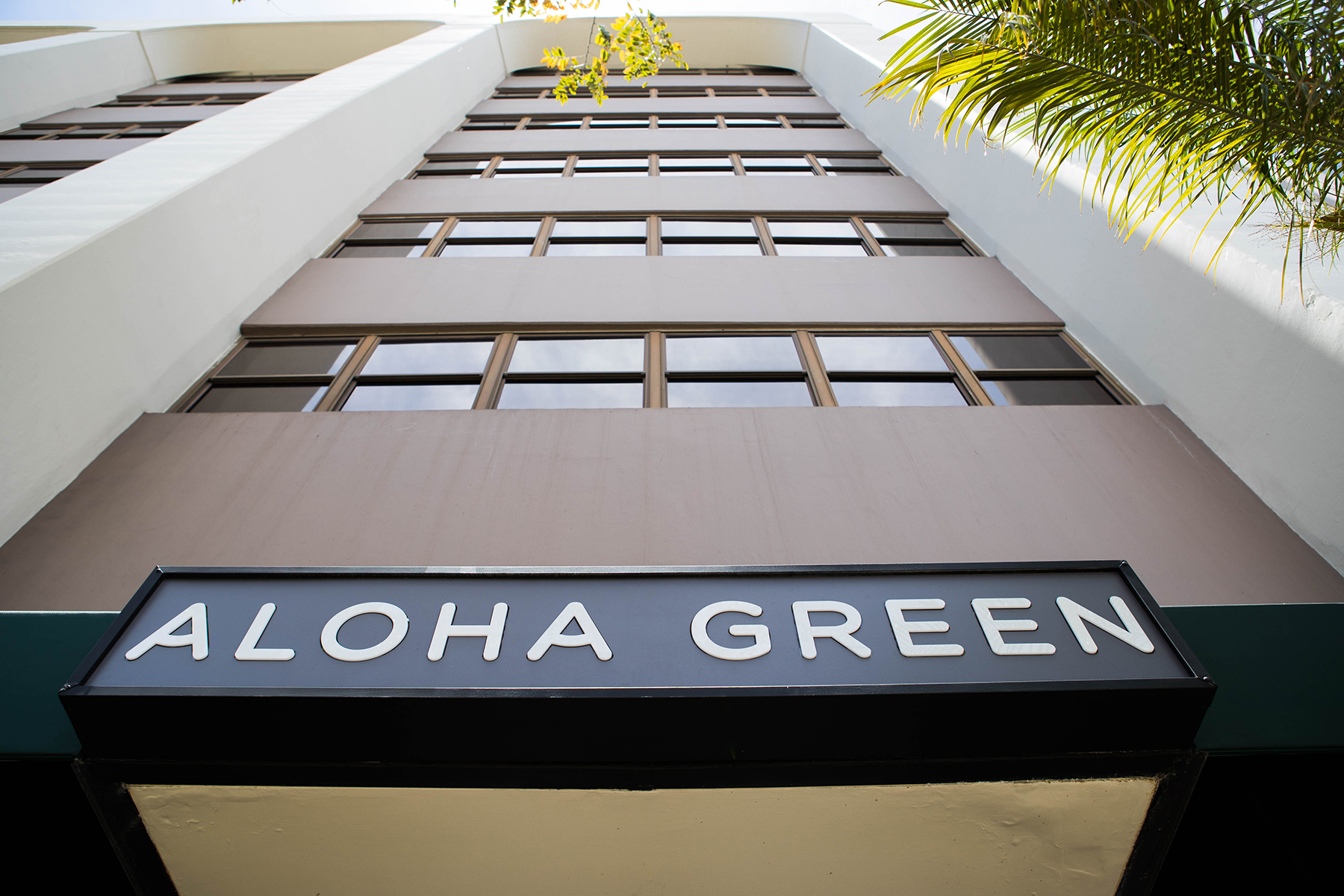 Cannabis Cardholders Increase, But They Aren't Flocking To Dispensaries Honolulu Civil Beat