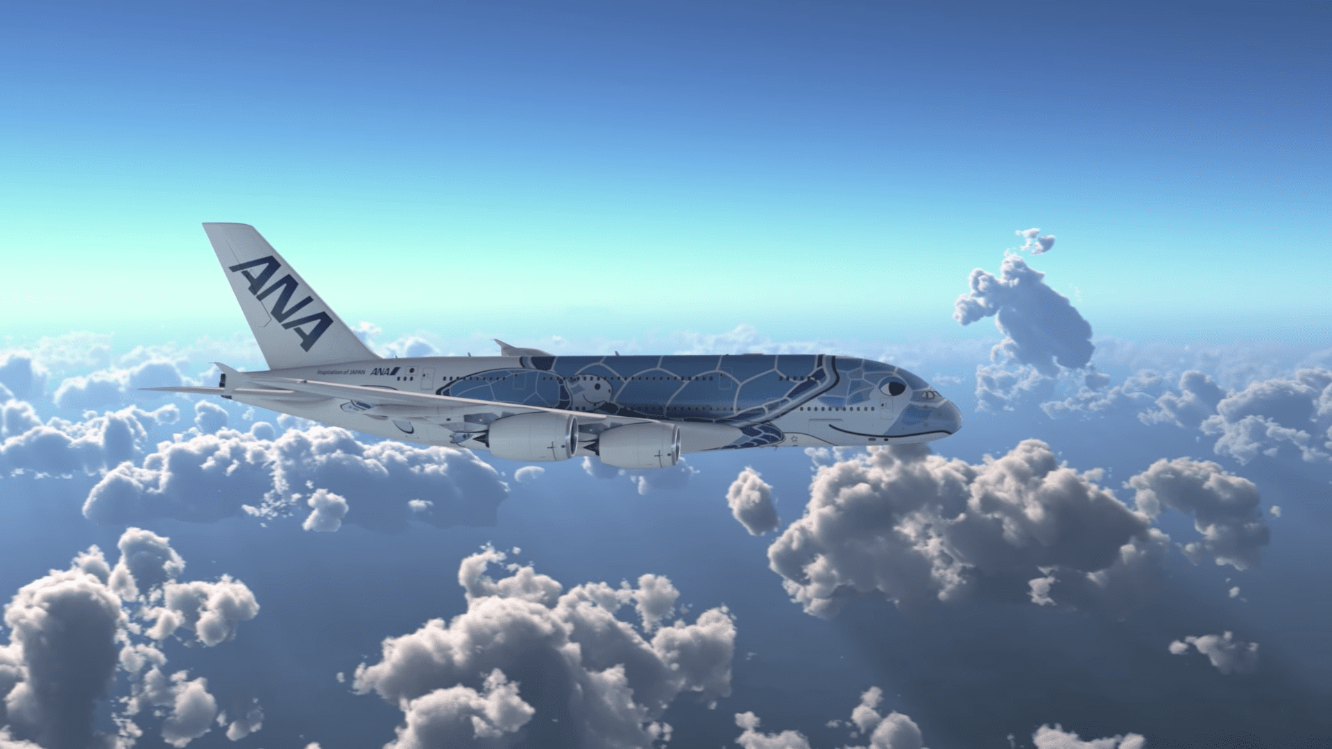 plane, Airbus, turtle Honolulu Civil Beat