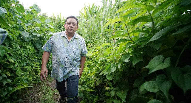 Roland Sondia walks thru the path that lead him home the residence of Father Apuron near his family home about two blocks away from the parish church. Sandia allegedly was sexually assaulted by Father Anthony Apuron.