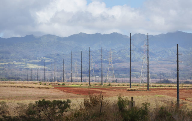Hawaiian Electric power poles going thru Kunia Road Monsanto leased land.