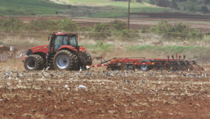 Monsanto tour. Farm equipment doing work off fields near Kunia Road.