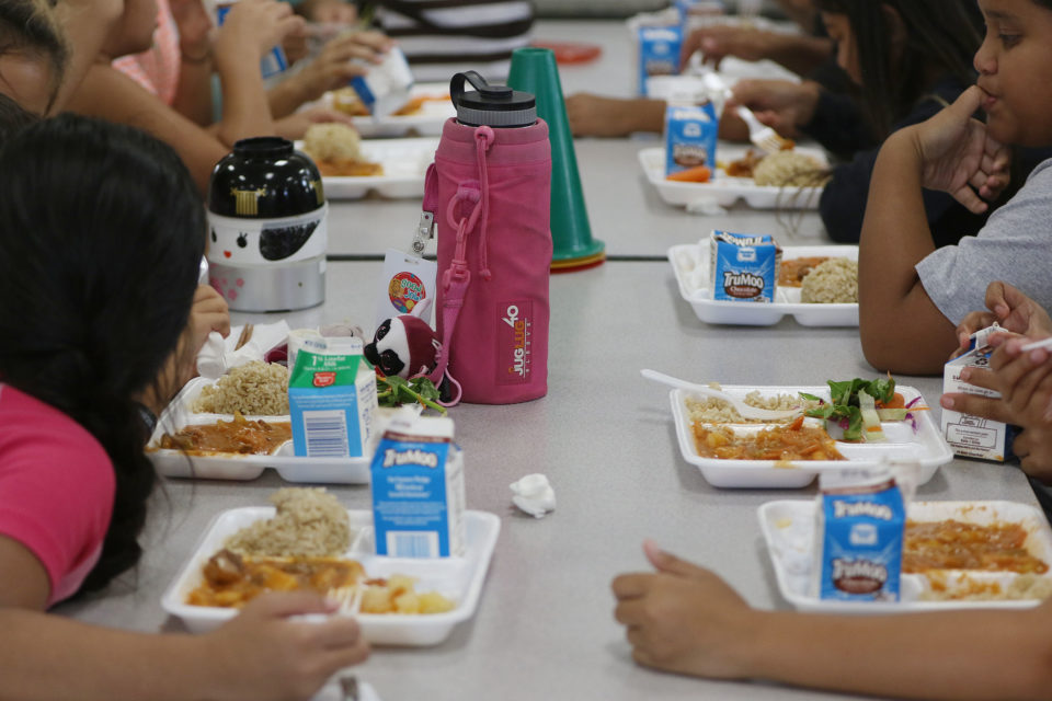 Hawaii Struggling To Find Out If FullFace Snorkel Masks Are…
