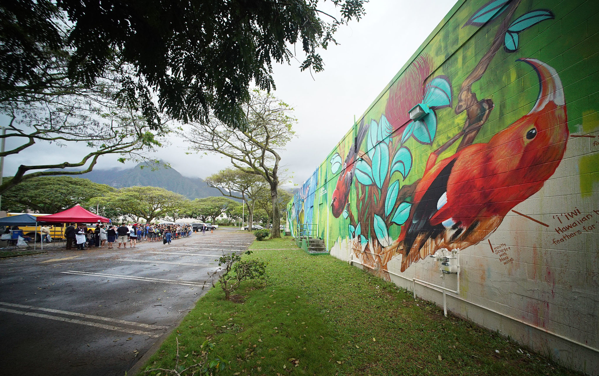 He Manu Momona i ka Ike mural Kaneohe2 Honolulu Civil Beat