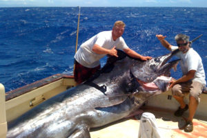 Loss Of Mainland Market For Marlin Is One More Sign Dan Inouye Is Gone