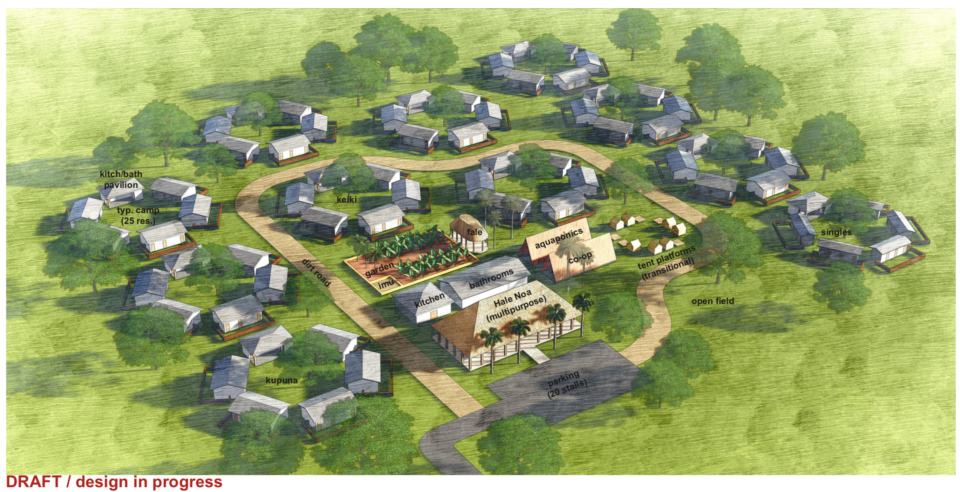 This Waianae Homeless Camp Is Going Legit