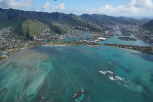 More Homeowners Are Needed To Join The Push To Restore Honolulu’s Urban Watersheds