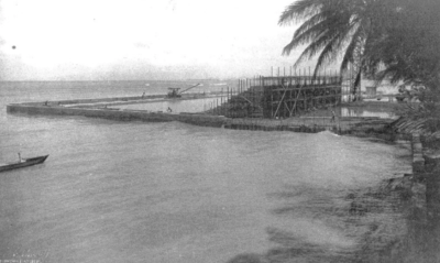 Kirstin Downey: Food Shortages In Hawaiʻi? A Lesson From World War I
