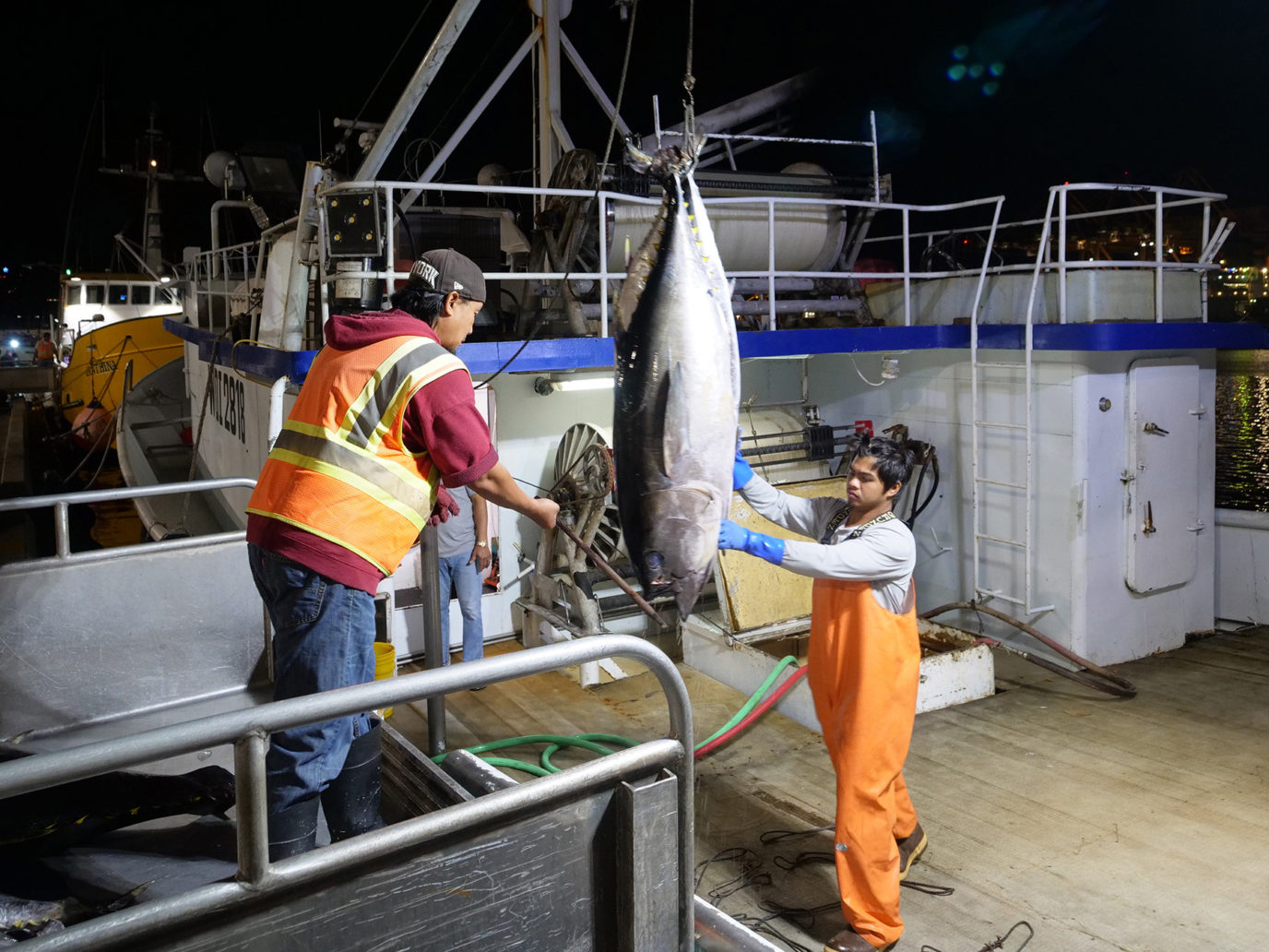 United Fishing Agency's Wilbur Caliri receives a load of fish from a fisherman to be sold at the morning's auction to seafood buyers in an open competitive bidding environment Wednesday, December 5, 2018.  Every day starts early on Pier 38 where fishermen can be found six days a week unloading their fresh catches to be sold at the Honolulu Fish Auction. (Civil Beat photo Ronen Zilberman)