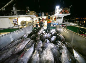 NOAA Keeps Deploying Fishery Observers But With Limits Amid Pandemic