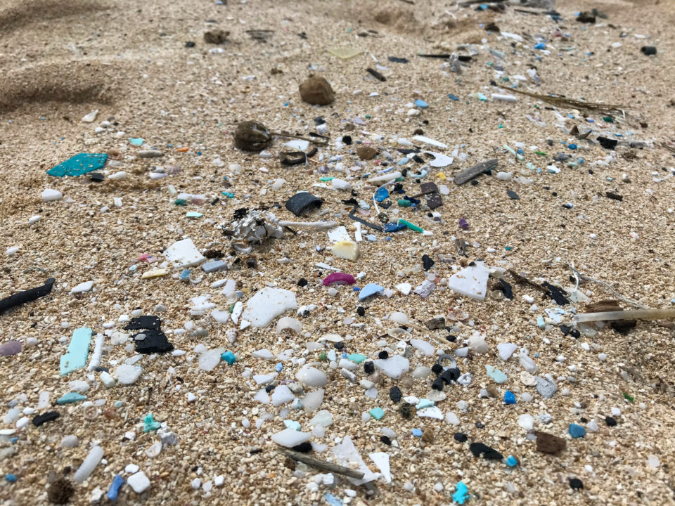 Enough Talk — Honolulu Needs To Restrict Single-Use Plastics