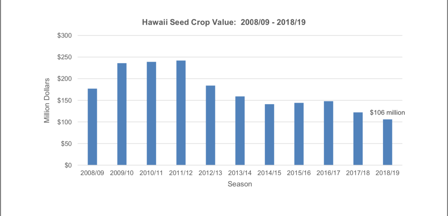 Seed Industry Is Shrinking Dramatically But It Still Grows Hawaii's No