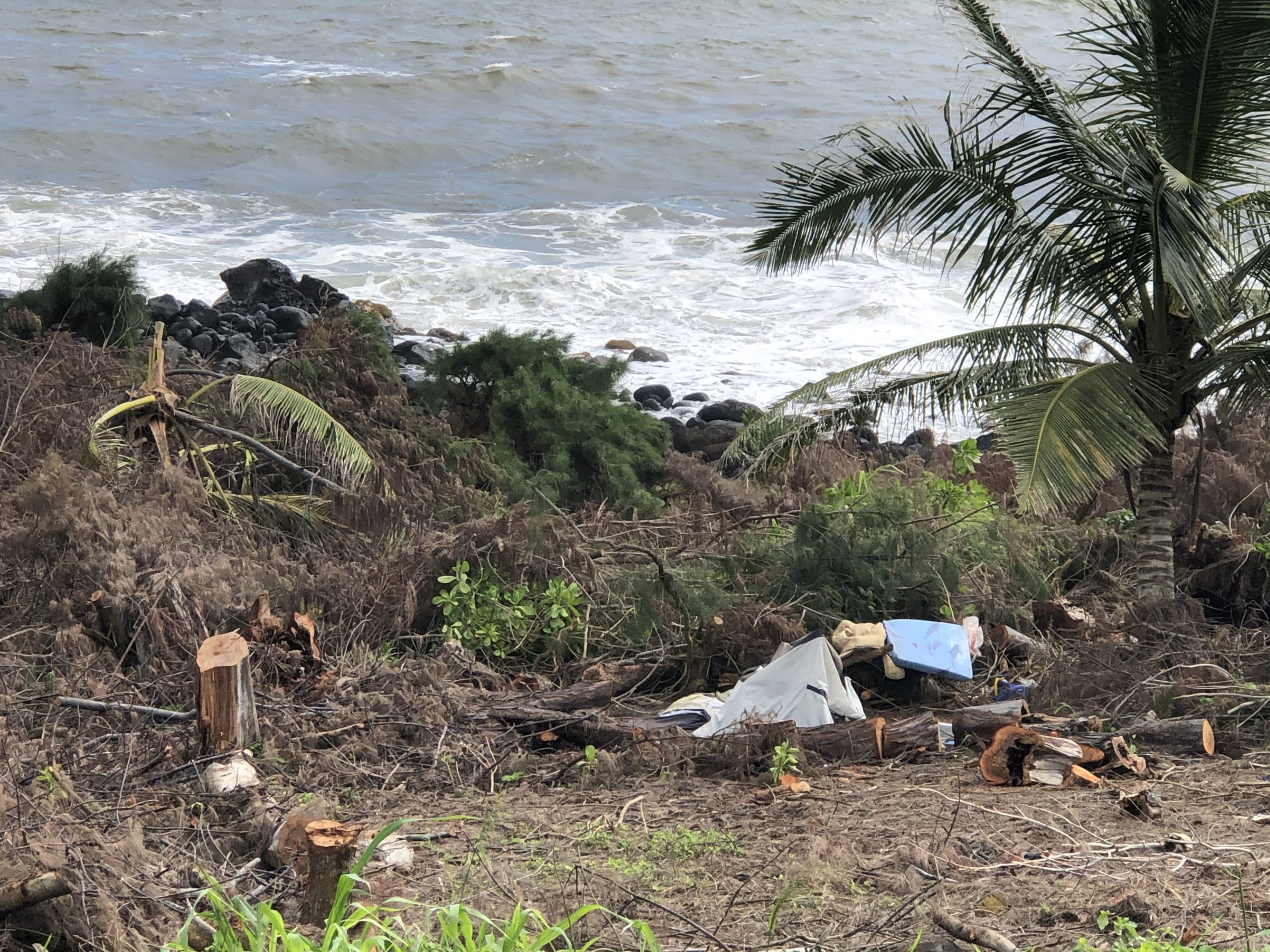 Kauai: County Admits It Wrongly Allowed A Divisive Brush Cutting