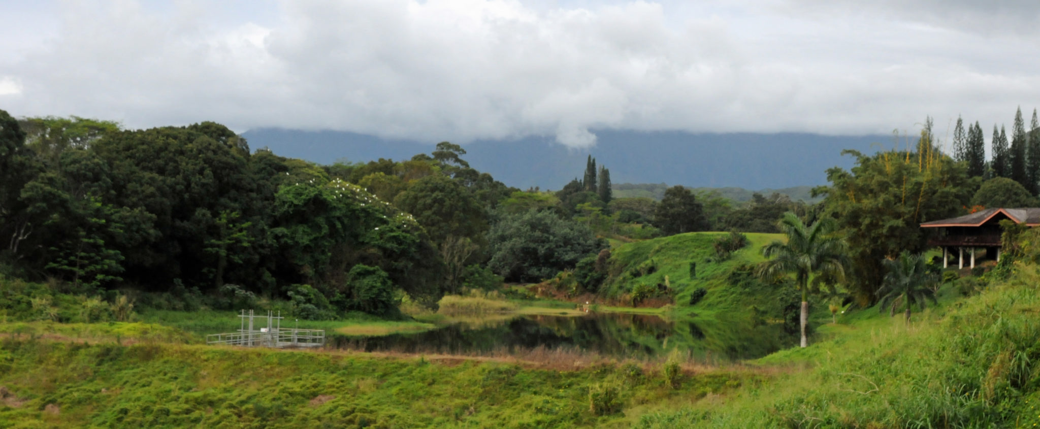 Kauai Farmers Fight To Keep Irrigation System Running Honolulu Civil