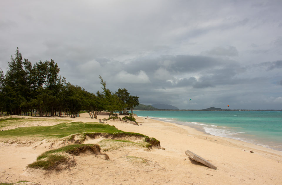 We Must Finds Ways To Open More Of Hawaii