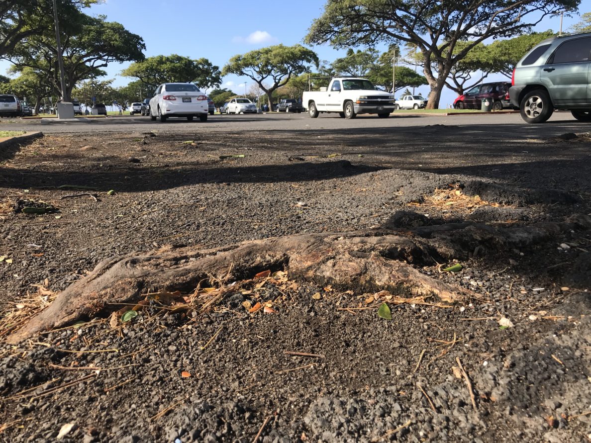 Repaving Of Magic Island Parking Lot To Begin Monday Honolulu Civil Beat