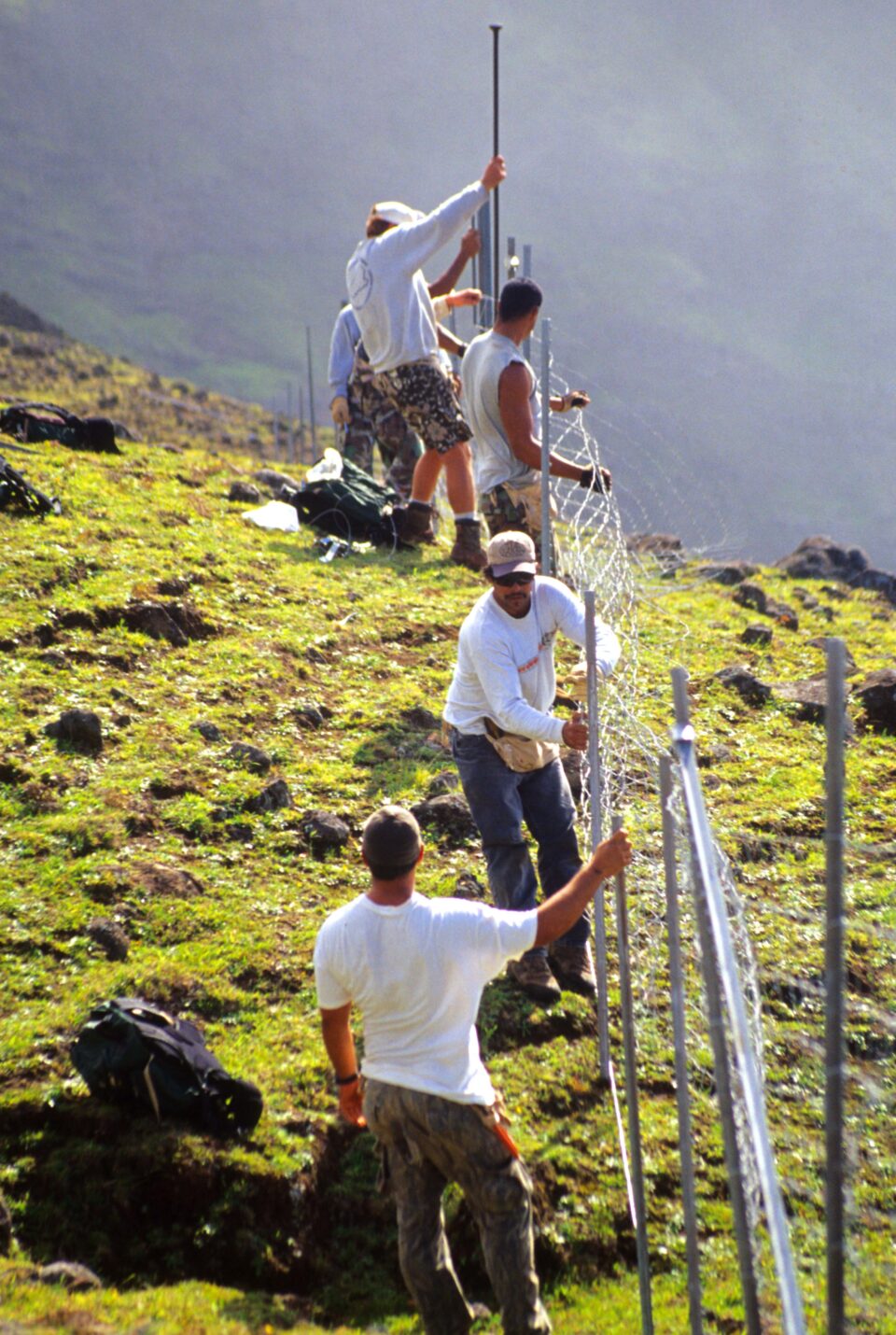 COVID19 Crisis Could Derail — Or Bolster — Conservation Efforts