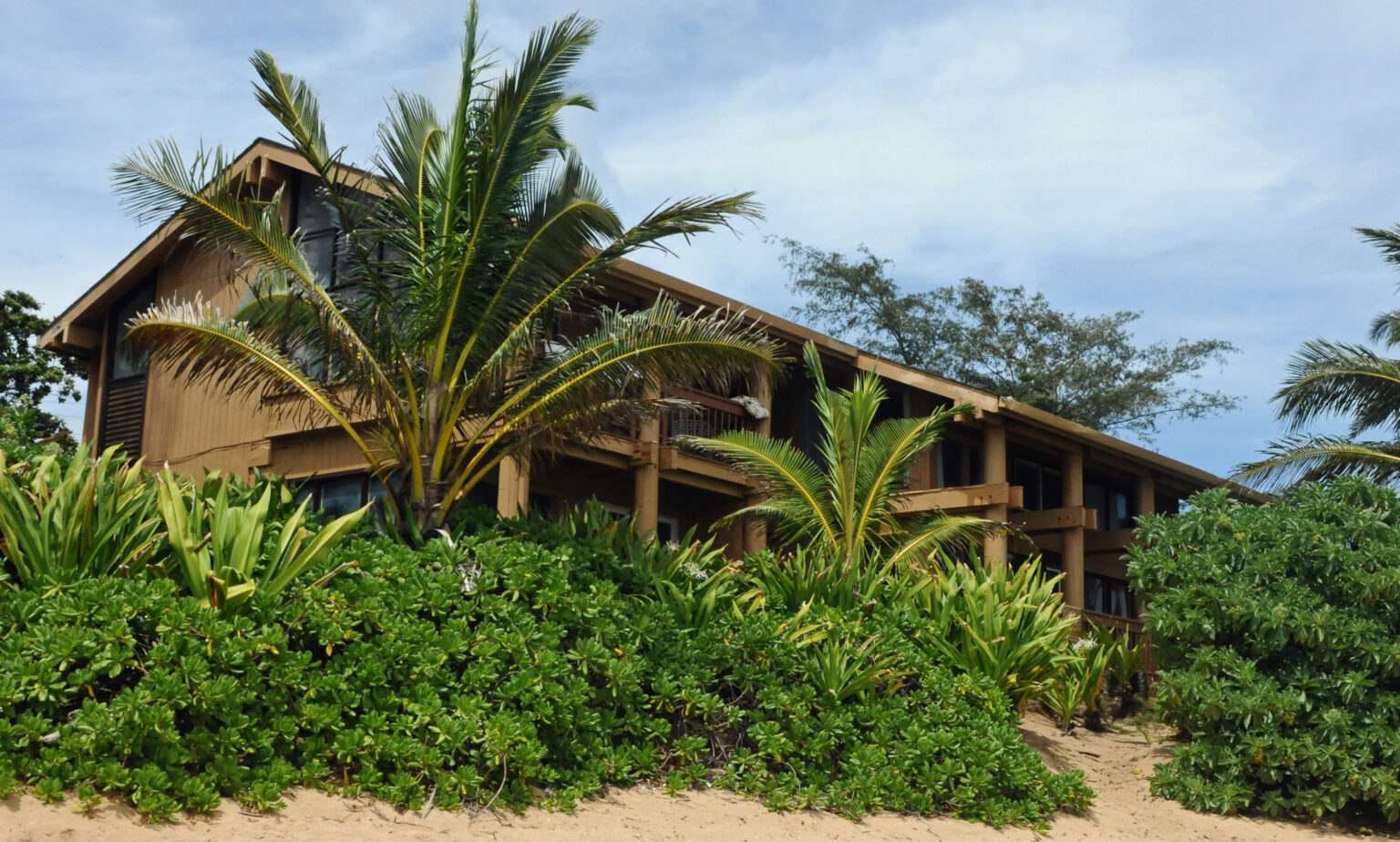 Meet The New Cult In Town Love Has Won, Now Quarantining On Kauai