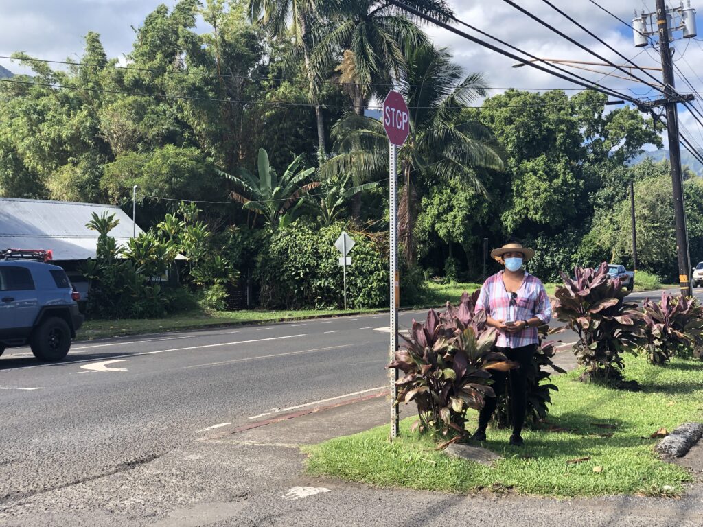 Are You Wearing A Mask In Public? These Hawaii Researchers Want To Know