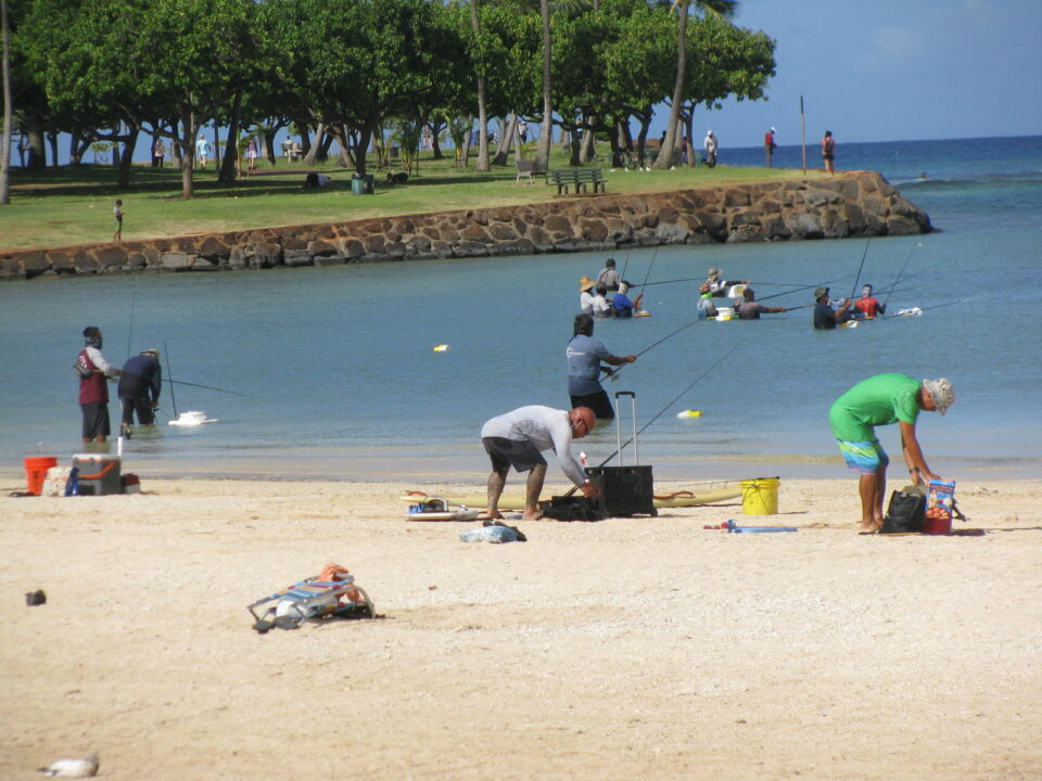 VIRUS TRACKER — Nov. 5: 100 New COVID-19 Cases In Hawaii