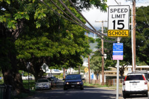Denby Fawcett: This Diamond Head Mom Found An Unusual Way To Fight City Hall