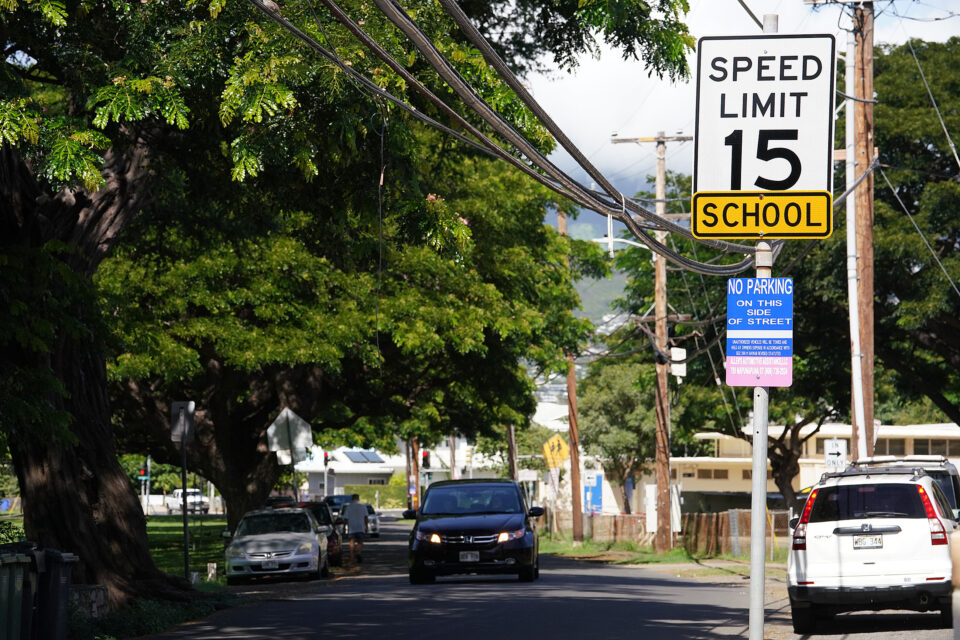 Denby Fawcett: This Diamond Head Mom Found An Unusual Way To Fight City Hall
