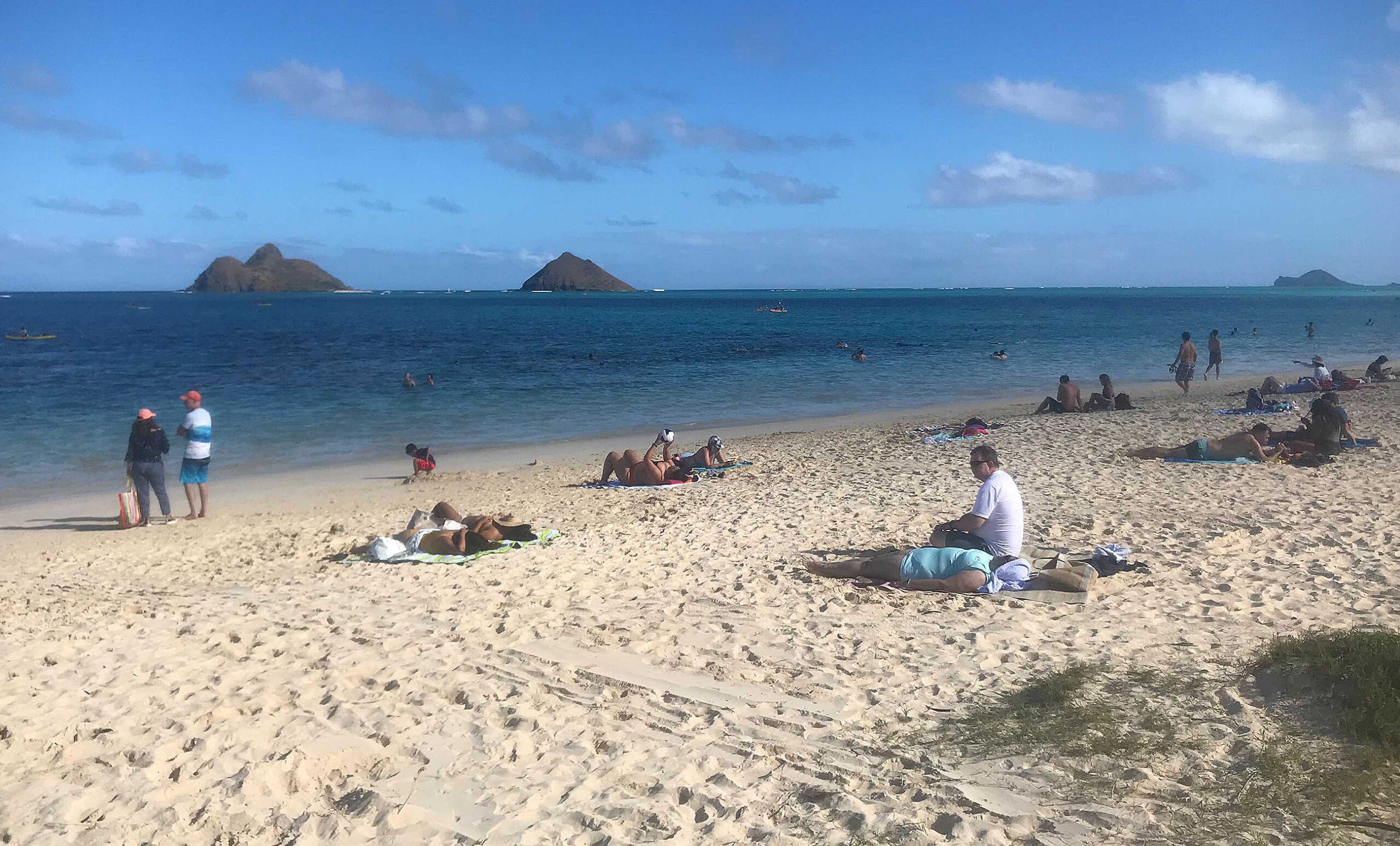 HAWAII VIRUS TRACKER Jan. 11 172 New COVID19 Cases Honolulu Civil Beat