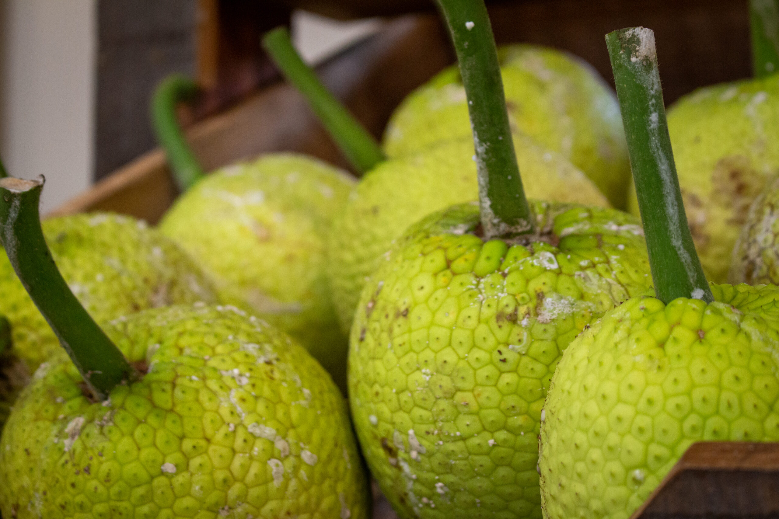 Maui County Raises Salaries In New Department Of Agriculture Honolulu