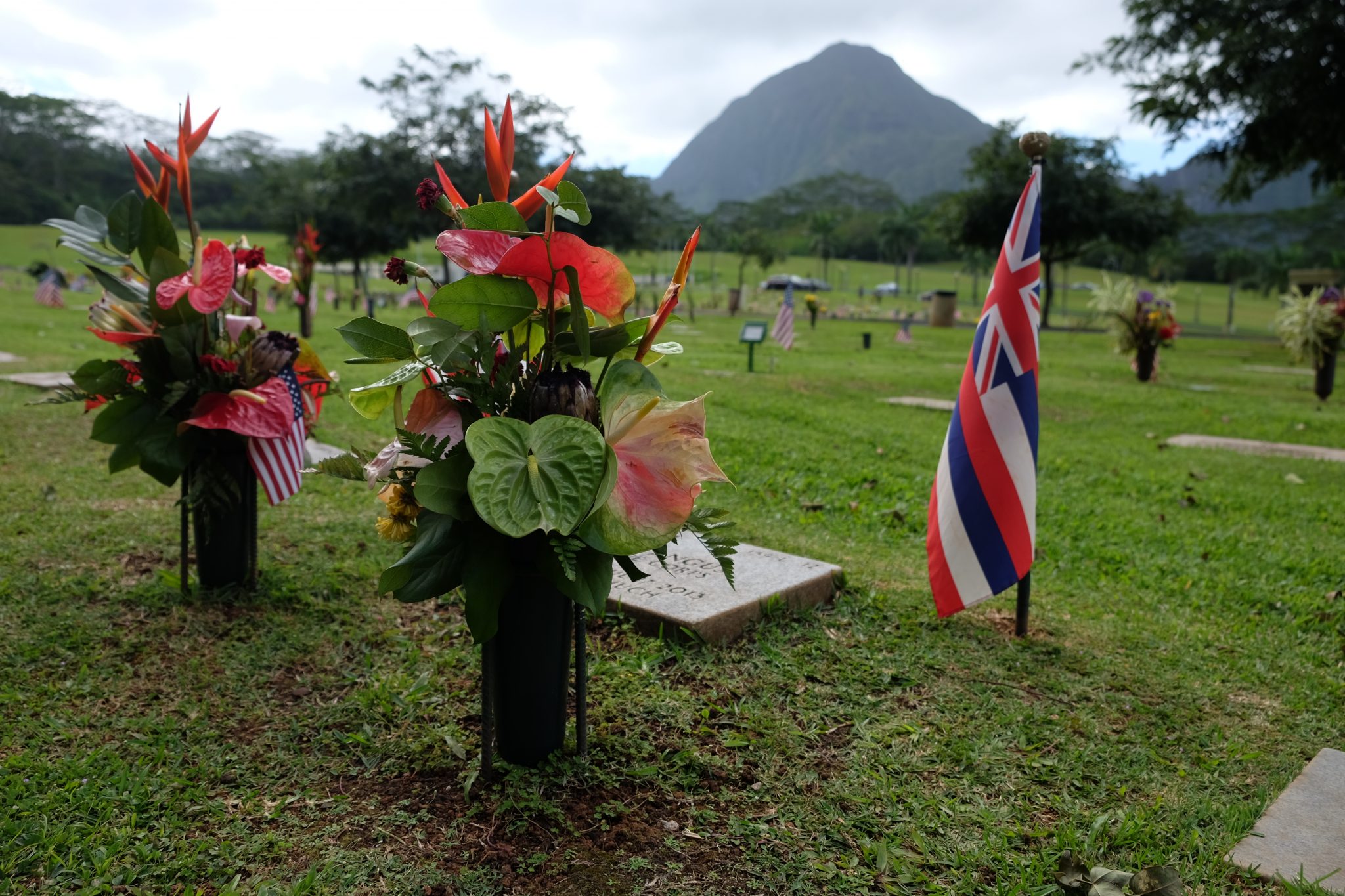 Water Cremation Is A Culturally Appropriate Way To Leave This