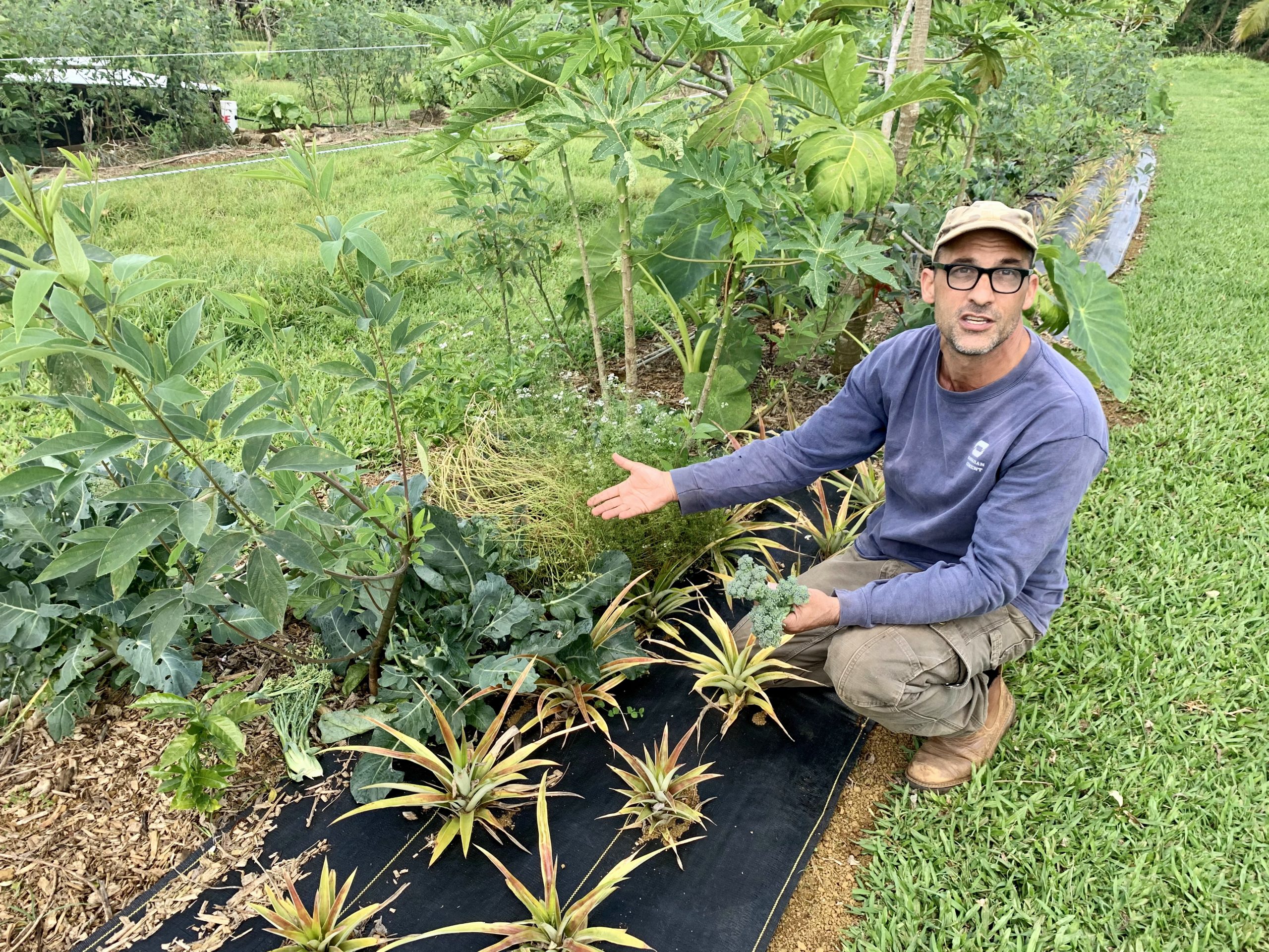 Common Ground, Kauai, Agriculture, John Parziale, farm Honolulu Civil