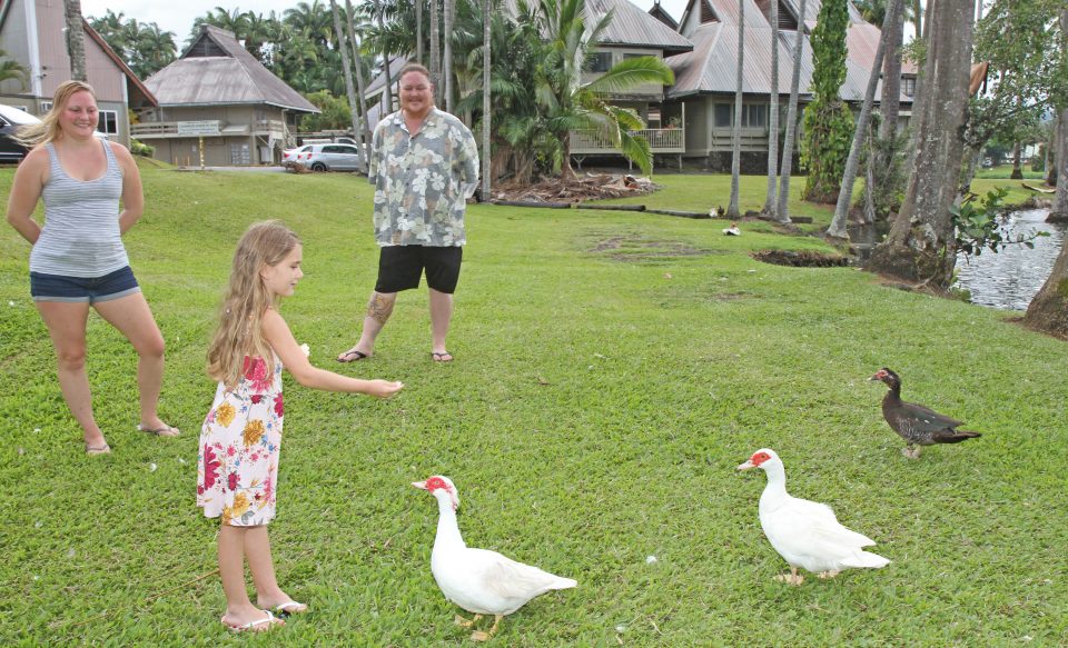Hilo Renters Fear They’ll Be Among The First To Go When Eviction Moratorium Ends