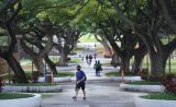University of Hawaii at Manoa  first day of fall instruction as students walk thru the mall in the morning during a Covid-19 surge. August 23, 2021