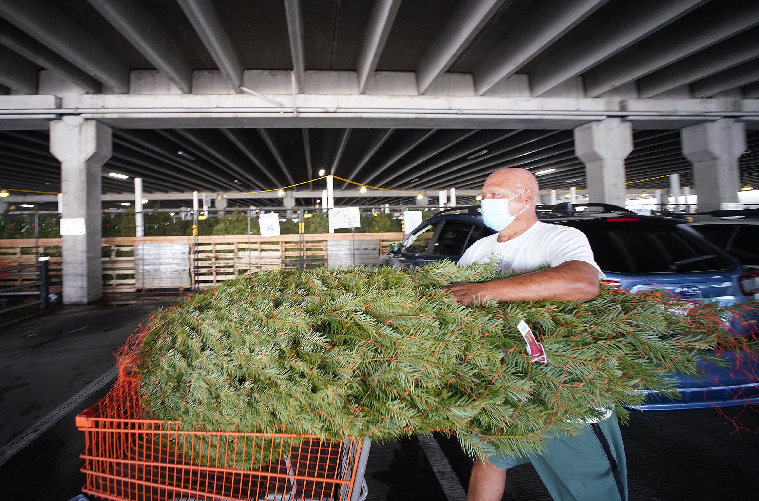 Home Depot Christmas tree Paul Carlson v2 Honolulu Civil Beat