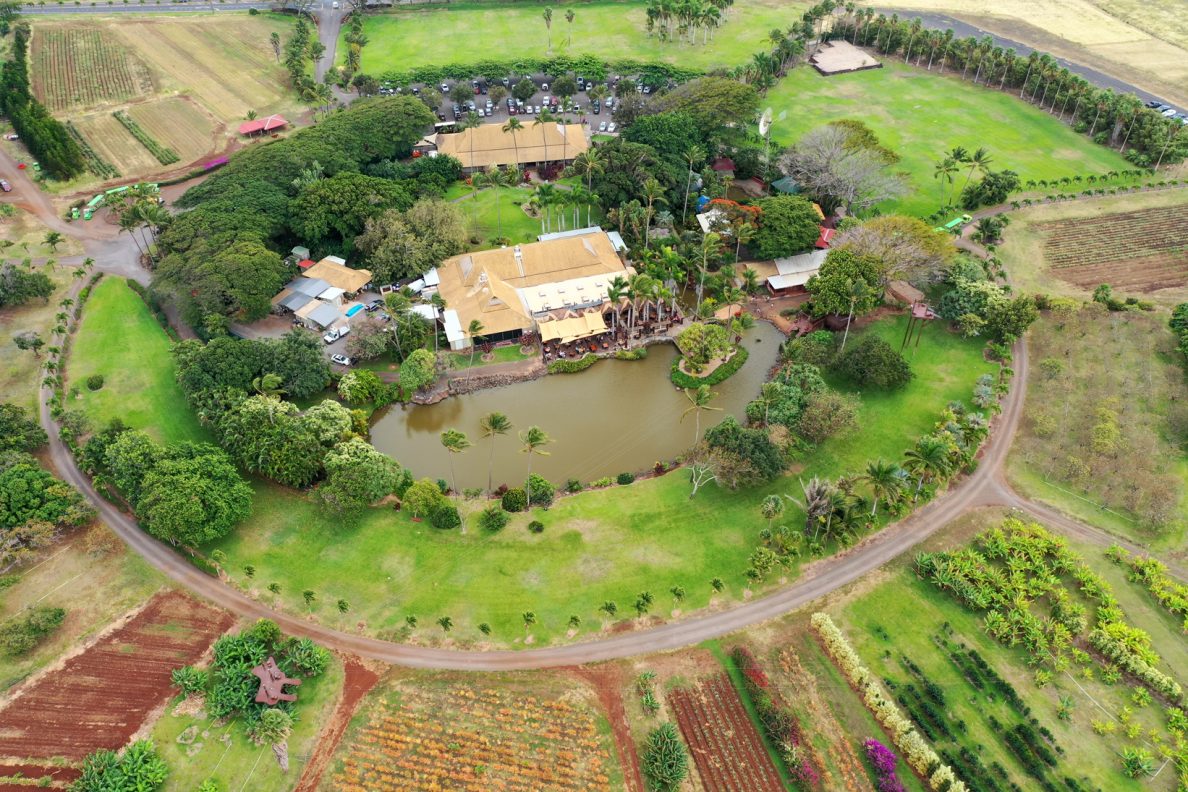 This Maui Housing Project Is Hugely Popular And Sorely Needed. Will It