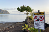 Caution Signs at Kahaluu Warning of Cesspool Pollution