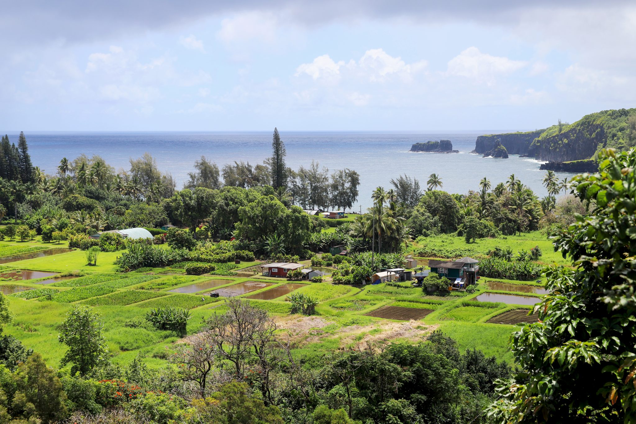 Former Mayor, ExMahi Pono Exec Now Want To Steer East Maui’s New Water