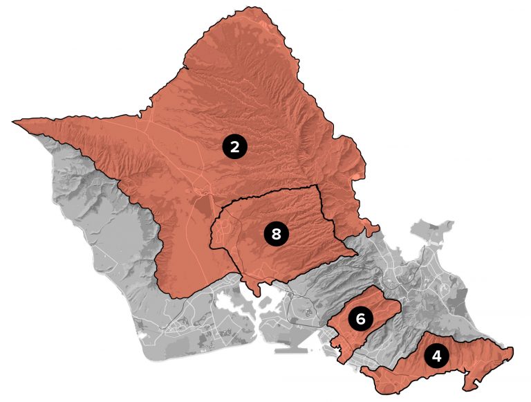Honolulu City Council All Races Headed To Runoff Honolulu Civil Beat