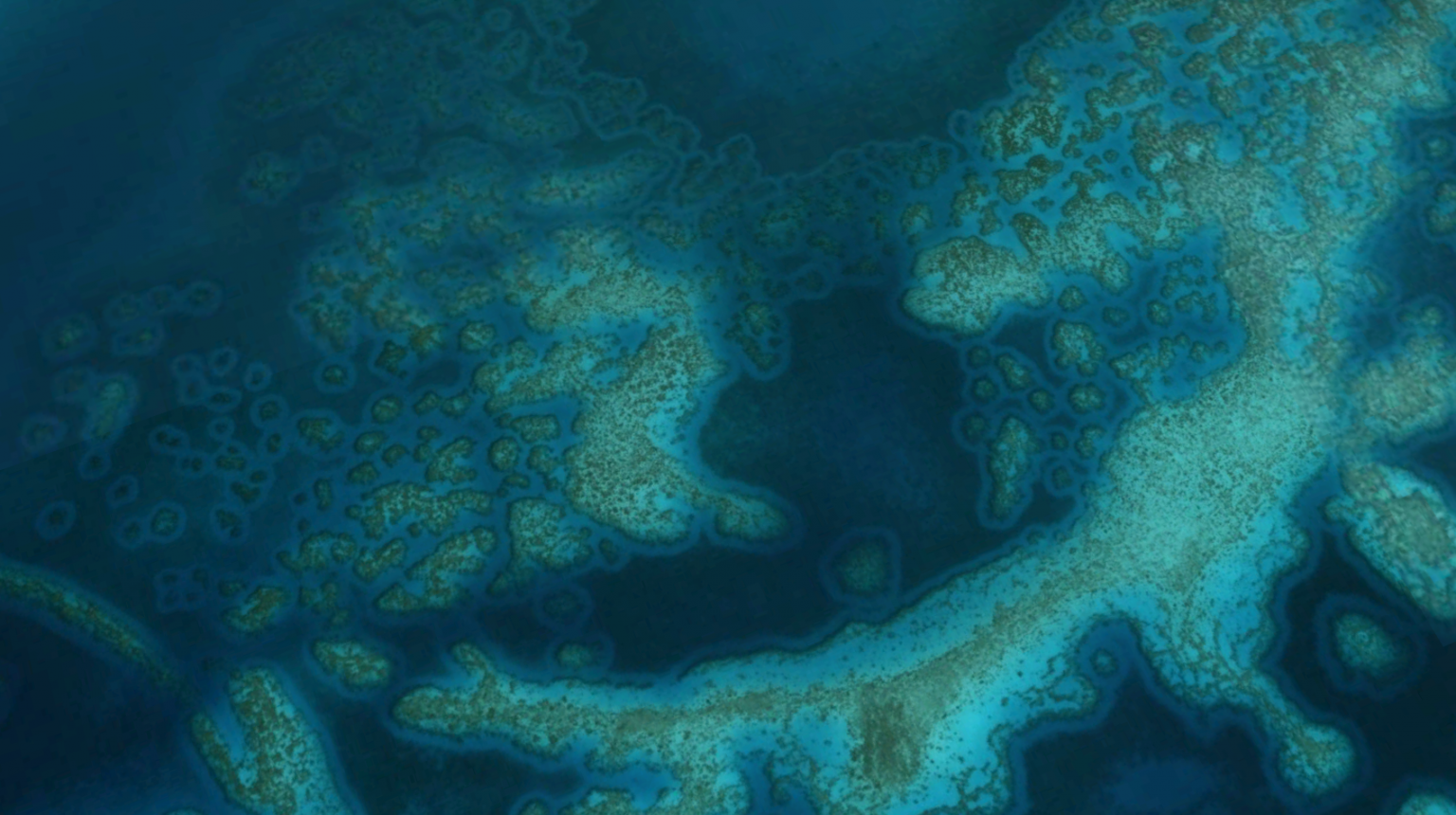 How Satellite Images Can Help Scientists Monitor The Health Of Coral