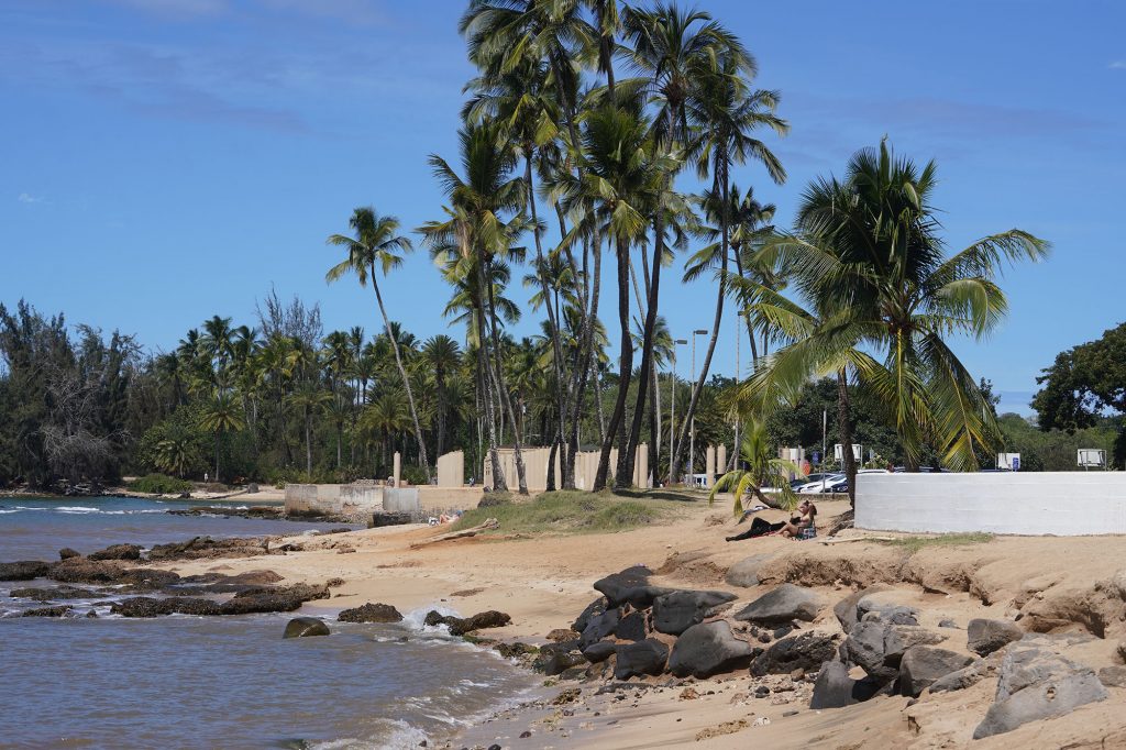 Coconut tree roots and large stones are exposed with the erosion of sand at Haleiwa Beach Park near the Haleiwa Beach War Memorial.